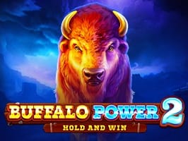 Buffalo Power 2 Hold and Win screenshot